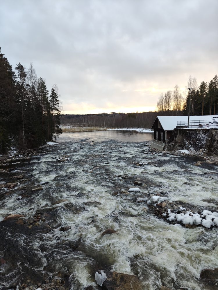 Kohteen Simpelejärvi Events Oy pääkuva